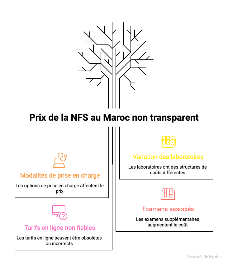 Infographie : les facteurs qui influencent le prix d’une NFS au Maroc : variation selon les laboratoires, examens associés, modalités de prise en charge et tarifs en ligne non fiables
